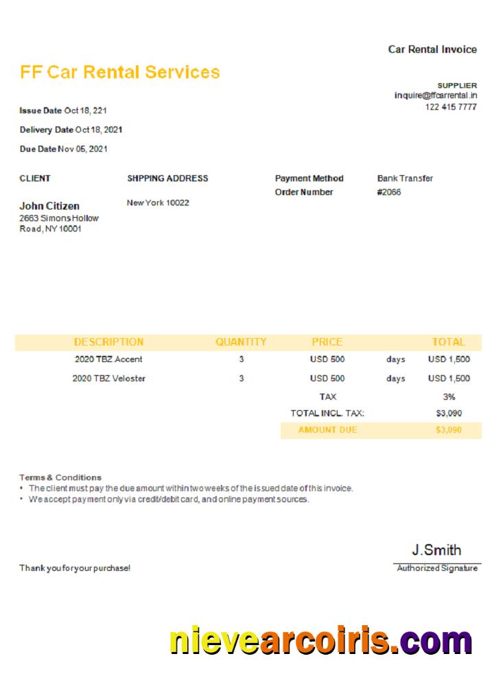 USA FF Car Rental Services invoice